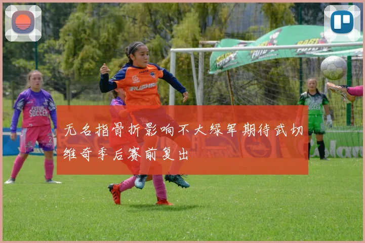 无名指骨折影响不大绿军期待武切维奇季后赛前复出